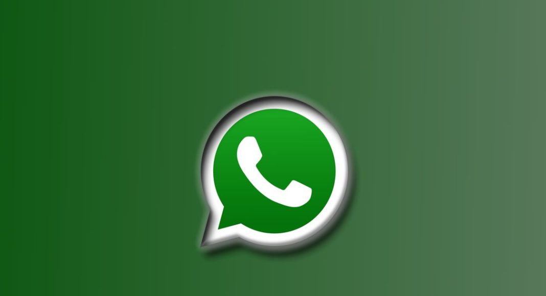 How To Hide Your Photo From Strangers On WhatsApp Archyde